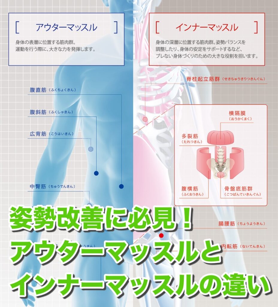 必見！姿勢改善で知っておくべきアウターマッスルとインナーマッスルの違い