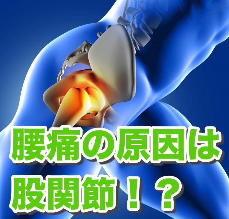 腰痛の原因は股関節！？腰痛改善に必須の股関節について【エクササイズ動画付】